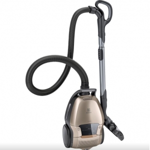 Vacuum cleaners with dust bags