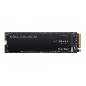 SSD M.2 2280 1TB/BLACK WDS100T3X0C WDC