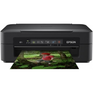 PRINTER / COP / SCAN XP-255 / C11CH17403 EPSON