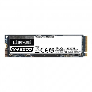 SSD M.2 2280 1TB/SKC2500M8/1000G KINGSTON