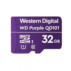 MEMORY MICRO SDXC 256GB UHS-I/WDD256G1P0C WDC