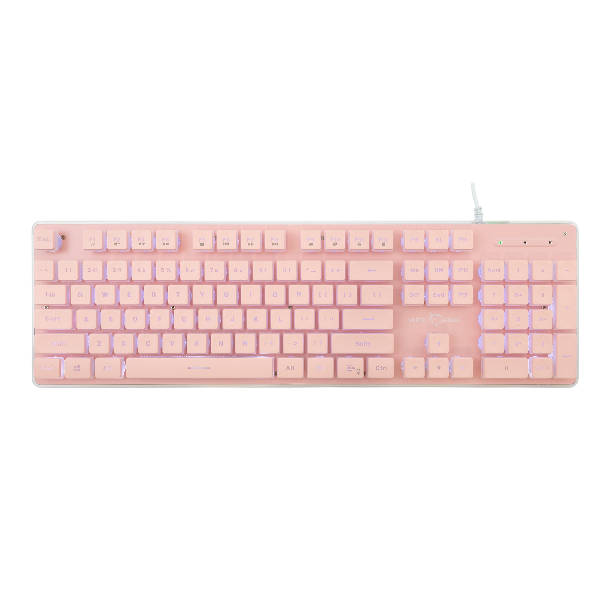 White Shark GK-003441 Tachi Pink US